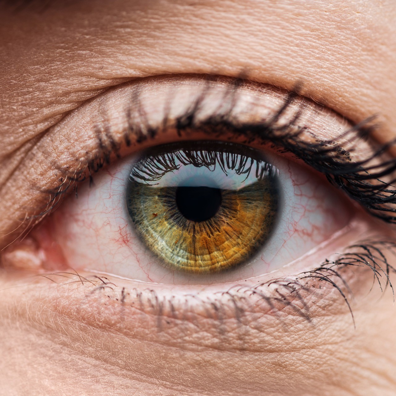 Close-up of an eye revealing iris detail, vasculature, and eyelashes. Microscopes made in Germany.